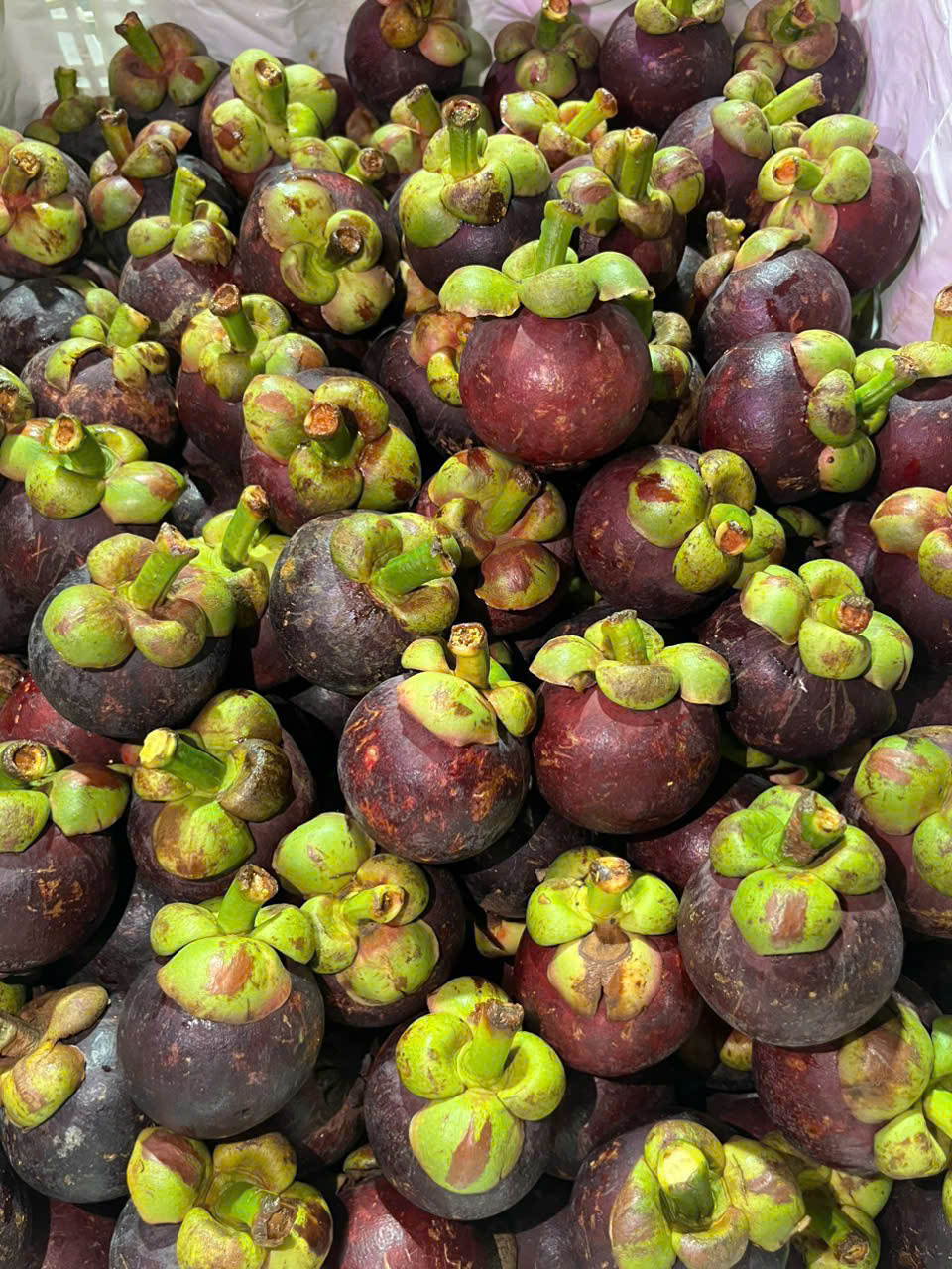 Măng Cụt thái
