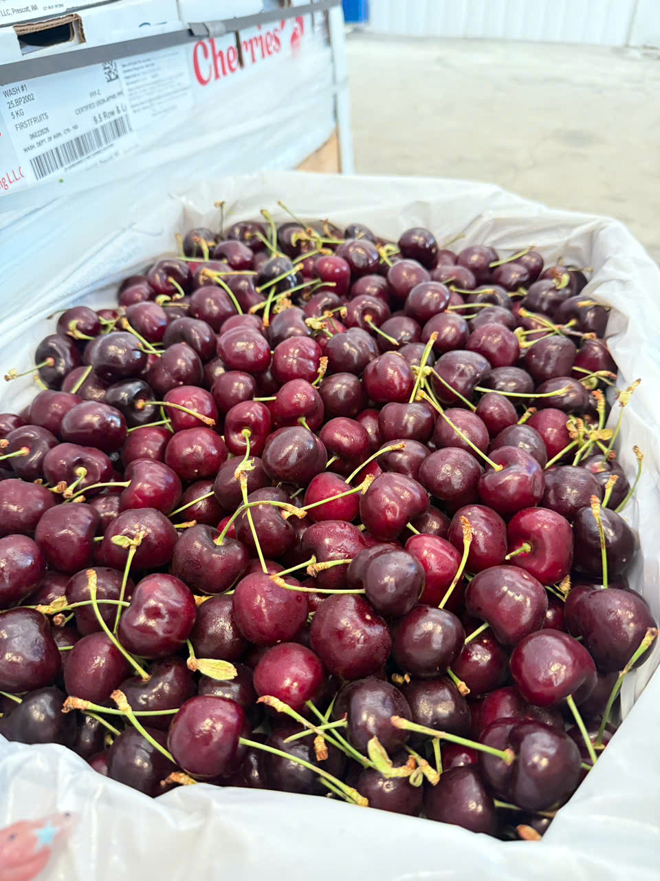 Cherry Mỹ Black Pearl